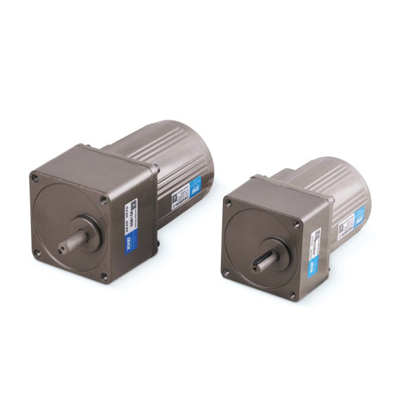 微型交流減速電機(jī)25W